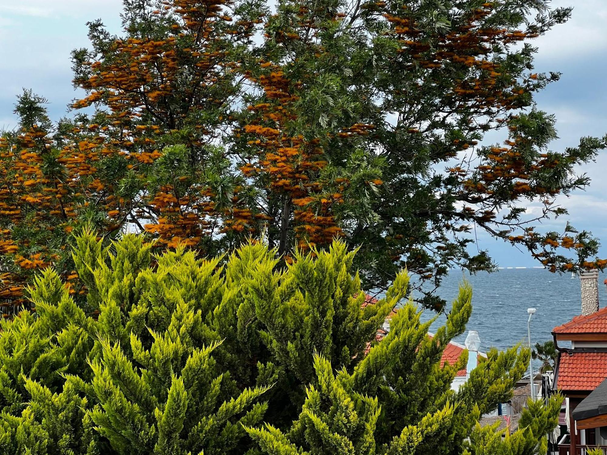 Ada Konak Otel Urla Esterno foto